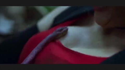 国产特效灾难视频