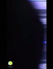 国产插精品视频,引领绿色出行新潮流