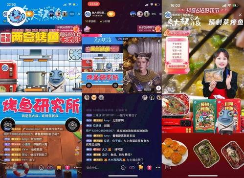 鱼乐 视频 国产,鱼乐视频，引领国产动画新潮流