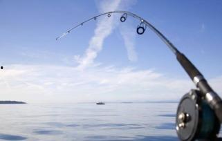 国产鱼竿能放多久视频,见证品质与时间的较量