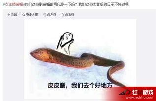 国产黄鳝门视频,一场网络风波背后的真相