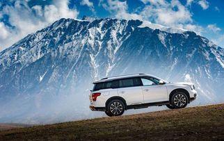 国产suv合集视频播放