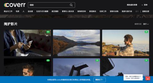 国产不免费视频,国产影视免费观看的困境与探索