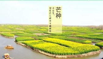 芒种国产动画视频,穿越时空的农耕传奇