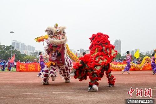 国产广西舞狮表演视频,广西非遗文化魅力绽放