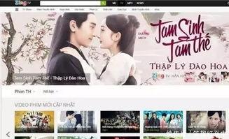 越南人看中国国产剧视频,魅力与共鸣的交织