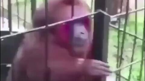 吕德华国产配音搞笑视频,国产配音界的欢乐源泉