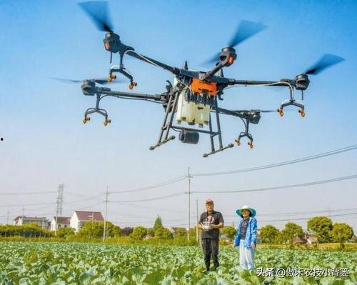 国产无人机打药视频播放